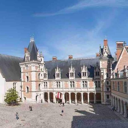 Petite Maison Avec Clim 블루아 외부 사진