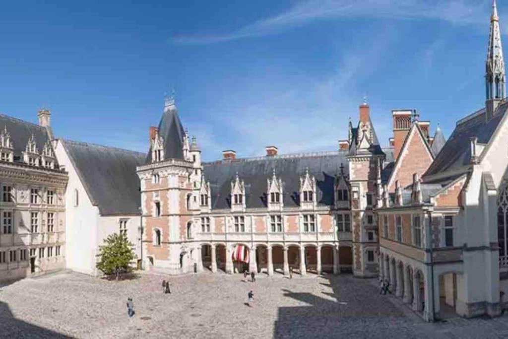 Petite Maison Avec Clim 블루아 외부 사진